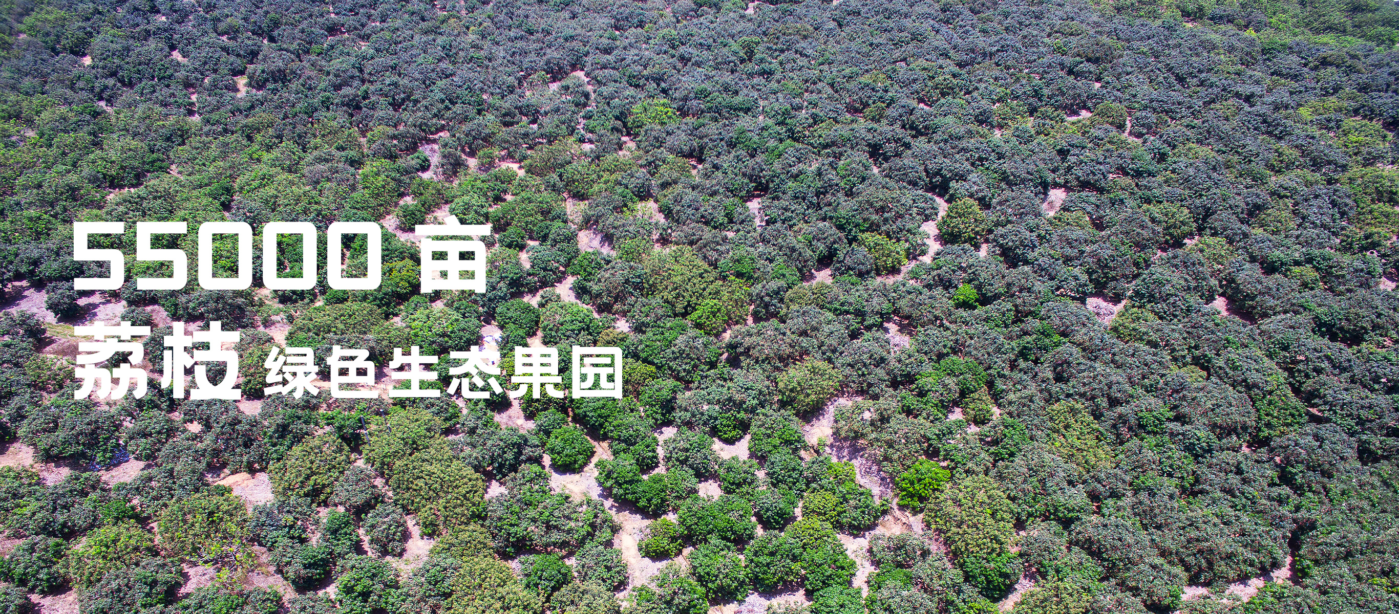 果园